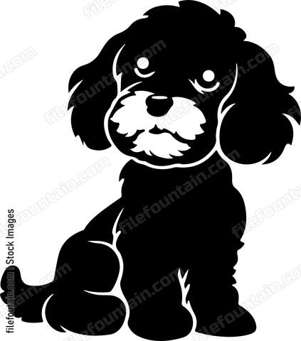 Cavoodle Dog