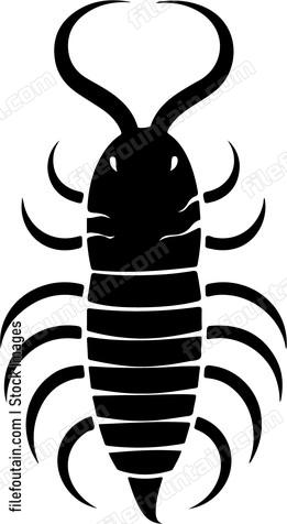 Centipede
