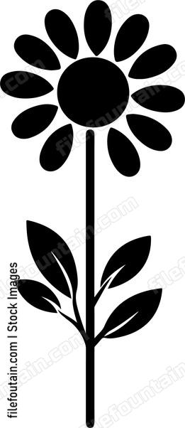 Chamomile Flower