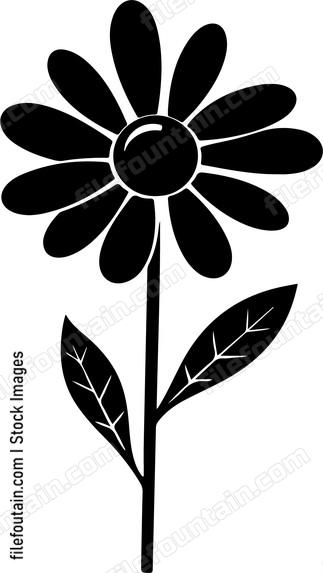 Chamomile Flower