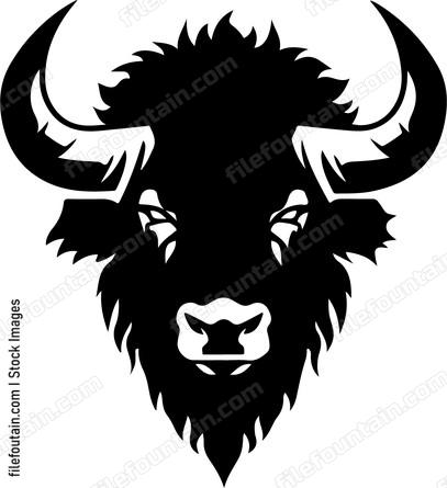 Charging Bison