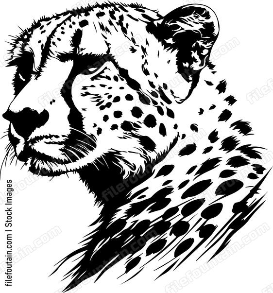 Cheetah