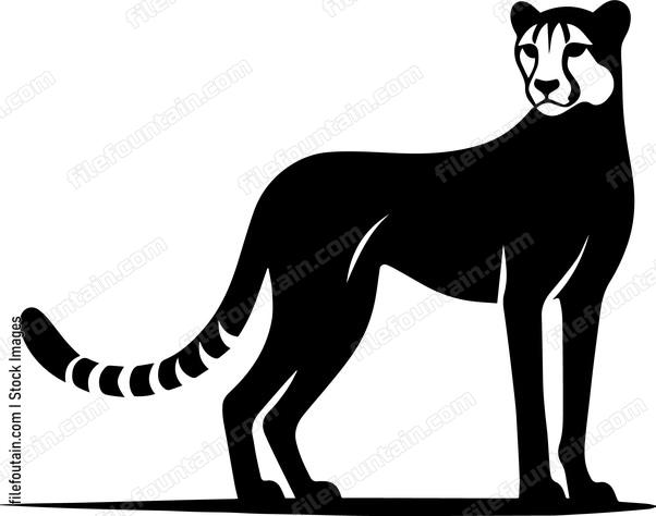 Cheetah