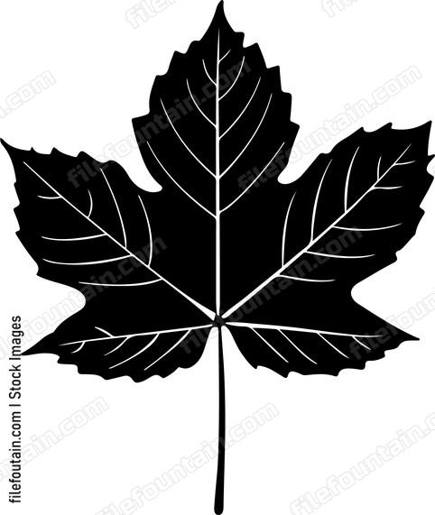Chestnut Leaf