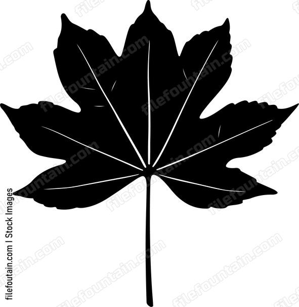 Chestnut Leaf