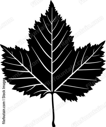Chestnut Leaf