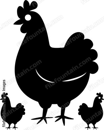 Chicken And Chicks