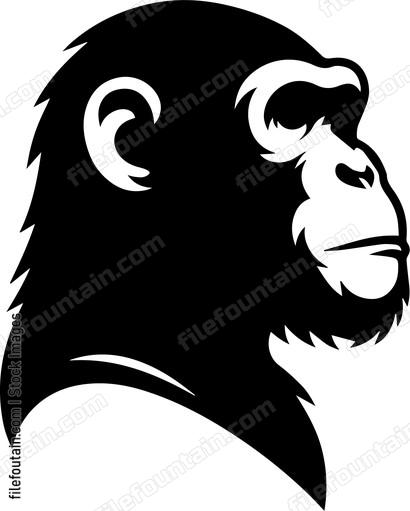 Chimp