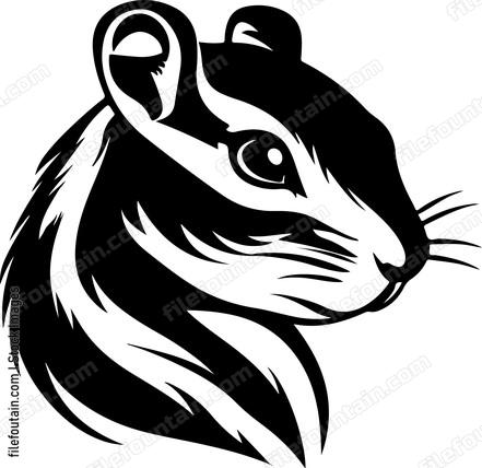 Chipmunk Head
