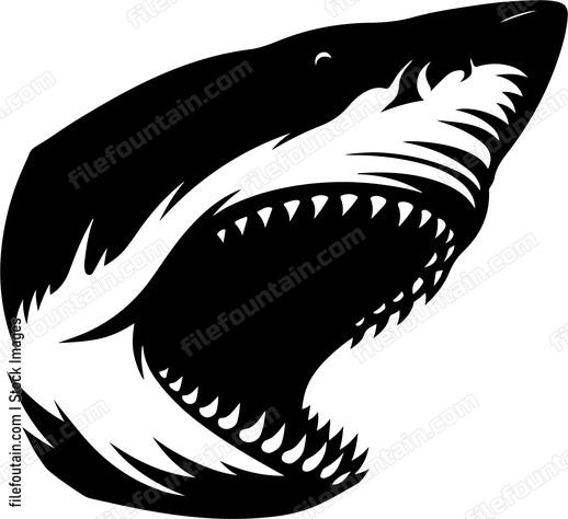 Close up of a sharks powerful jaws