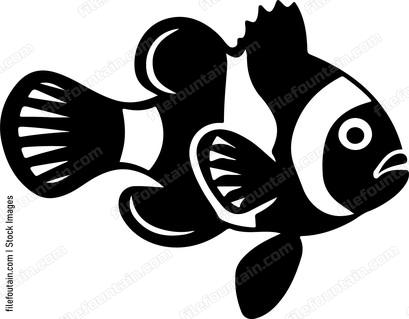Clown Fish