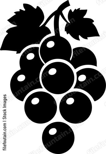 Cluster Of Grapes