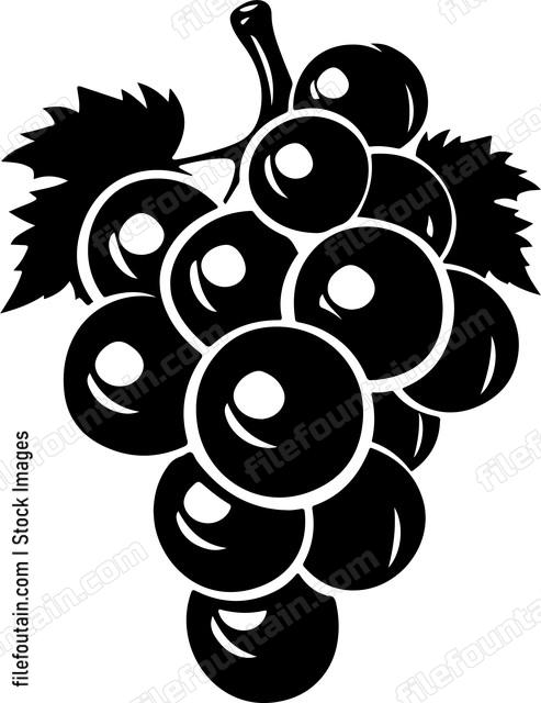 Cluster Of Grapes