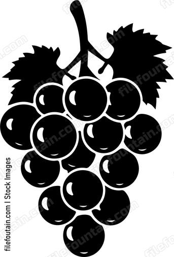 Cluster Of Grapes