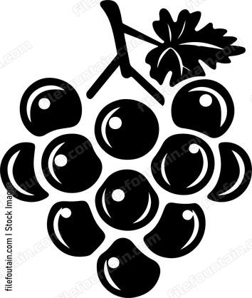 Cluster Of Grapes