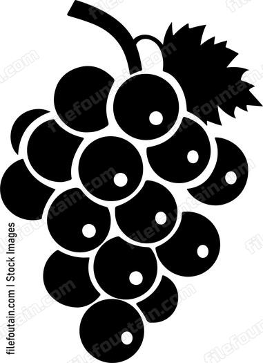 Cluster Of Grapes
