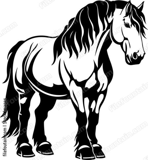 Clydesdale Horse