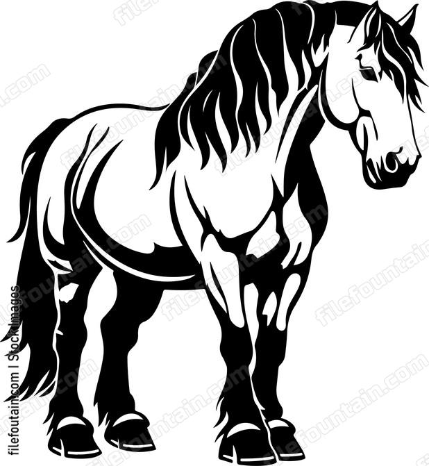 Clydesdale Horse