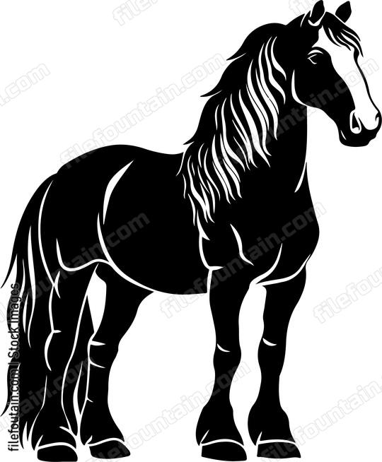 Clydesdale Horse