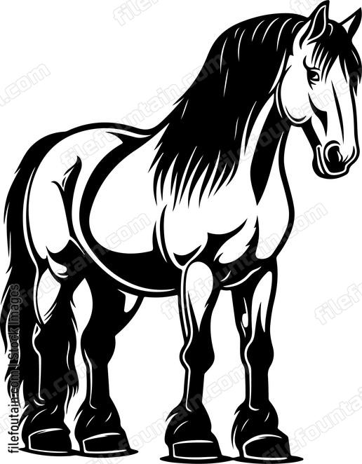 Clydesdale Horse