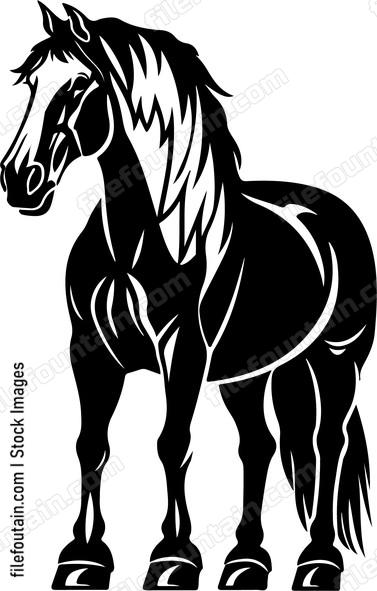 Clydesdale Horse