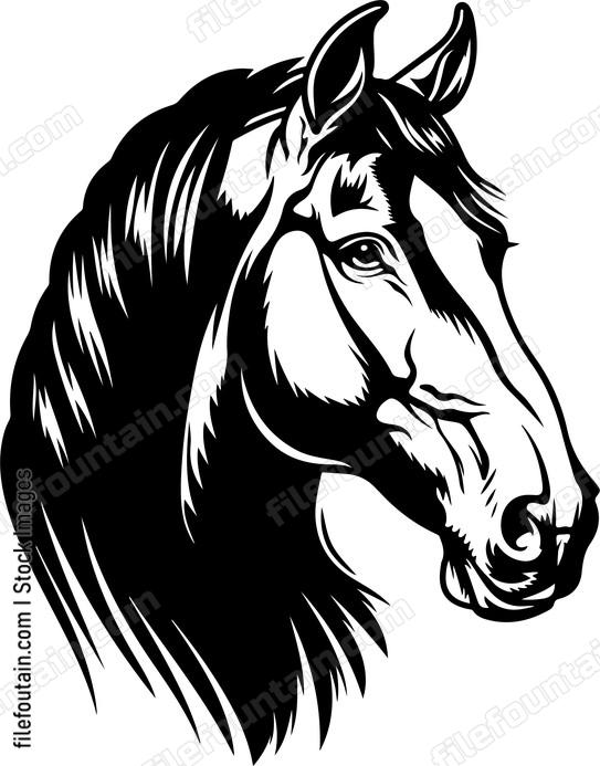 Clydesdale Horse