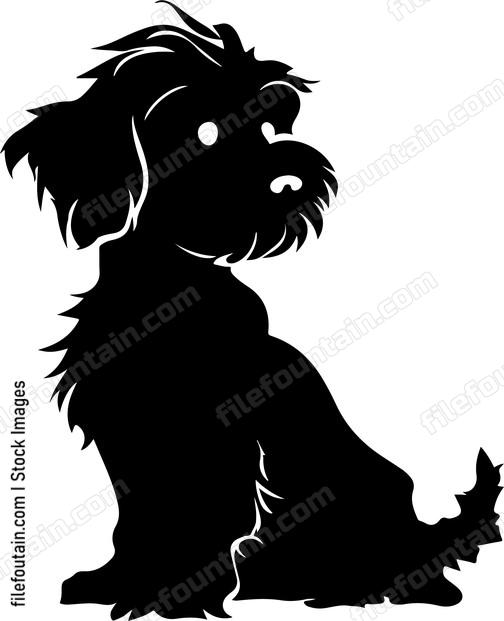 Cockapoo