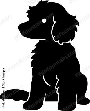 Cockapoo