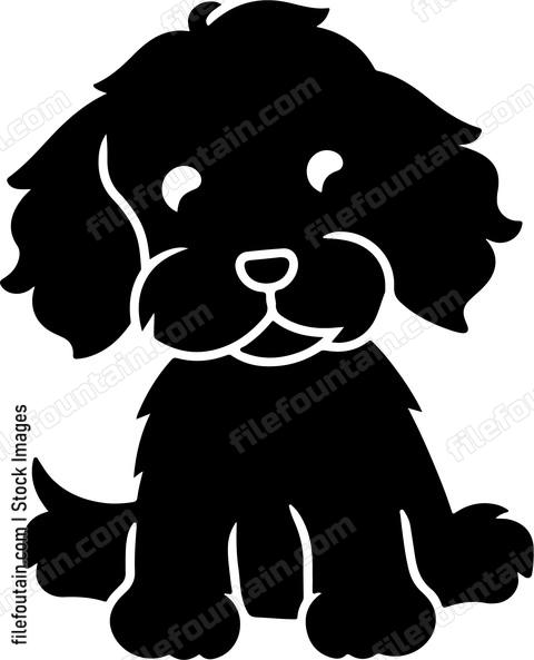 Cockapoo Puppy