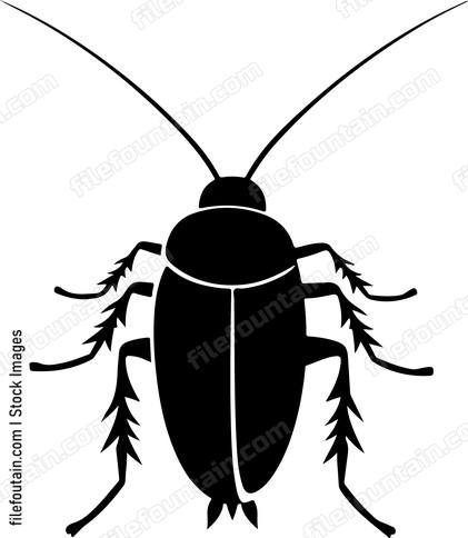 Cockroach