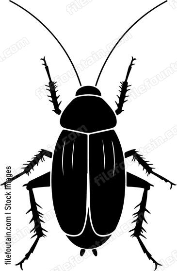 Cockroach