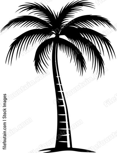 Coconut Tree