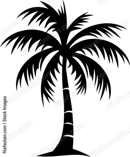 Coconut Tree