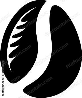 Coffee Bean
