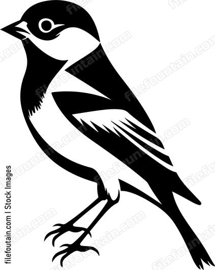 Common Chaffinch Bird