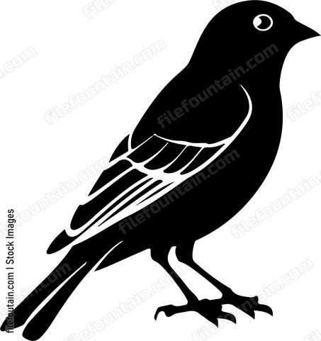 Common Chaffinch Bird