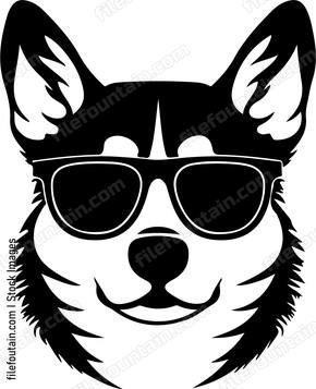 Cool Dog In Sunglasses