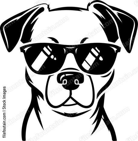 Cool Dog In Sunglasses