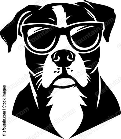 Cool Dog In Sunglasses