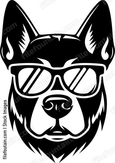 Cool Dog In Sunglasses