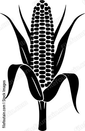 Corn