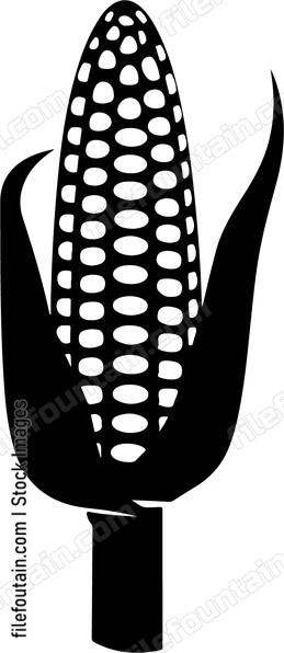 Corn