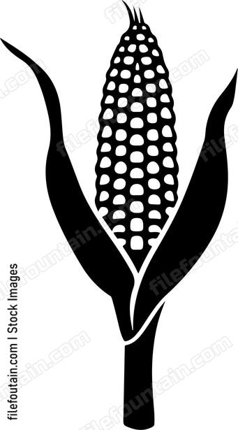 Corn