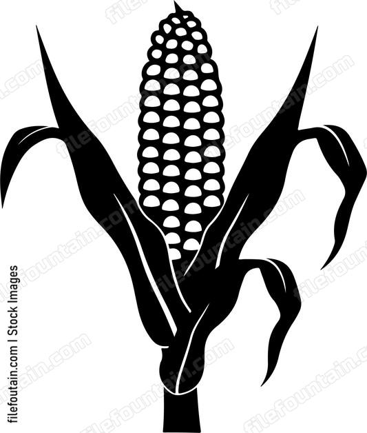 Corn