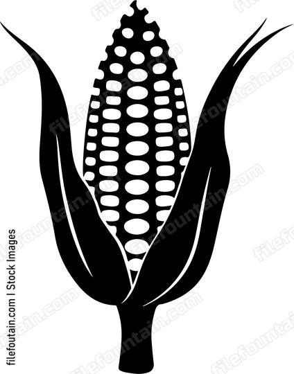 Corn Head