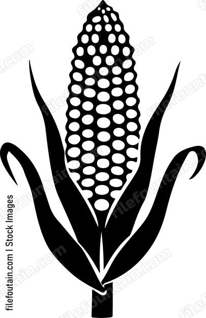 Corn Head