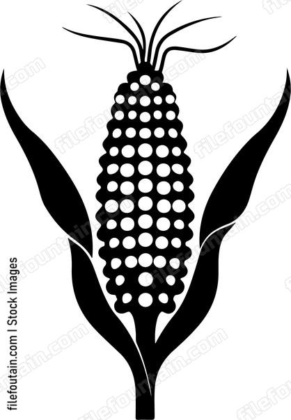 Corn Head