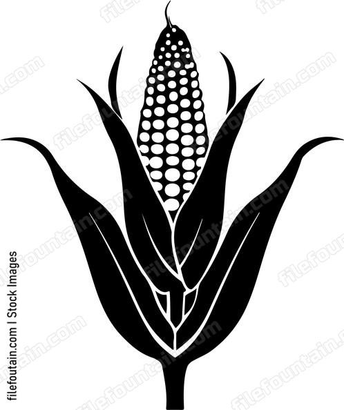 Corn Head