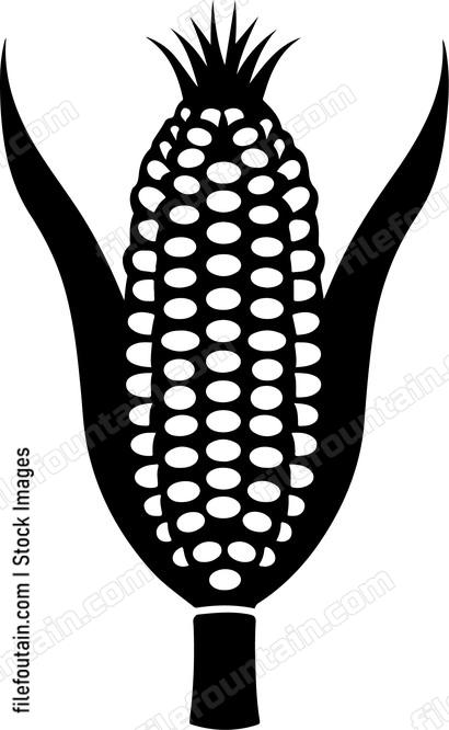 Corn Head