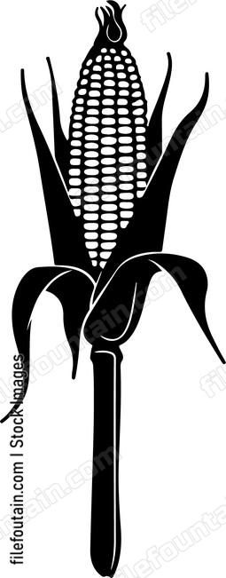 Corn On A Stick